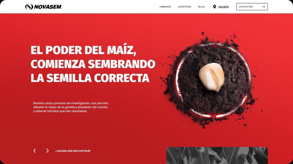 Don Anselmo Tequila — sitio web