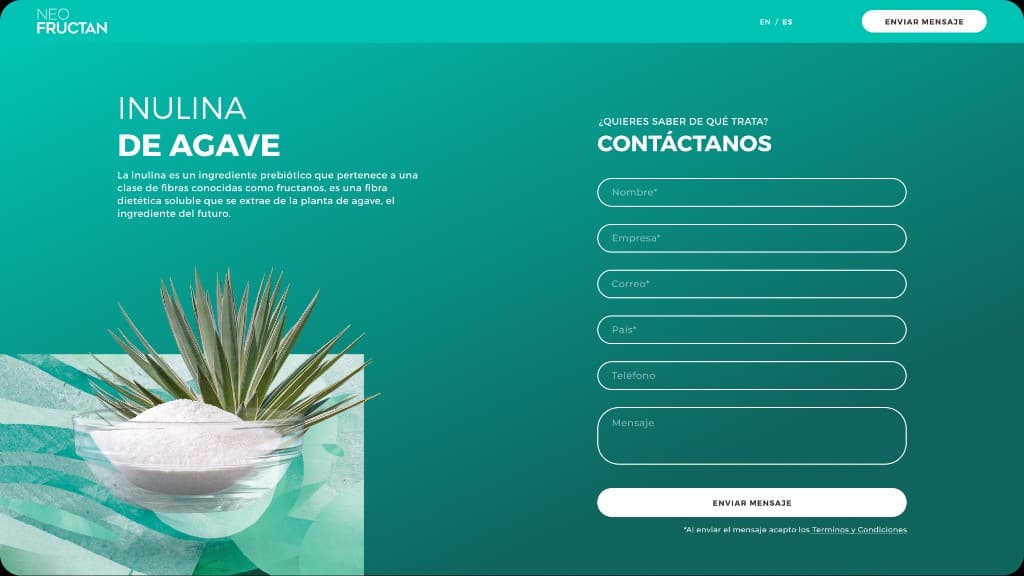 Neo Fructan — landing de inulina de agave